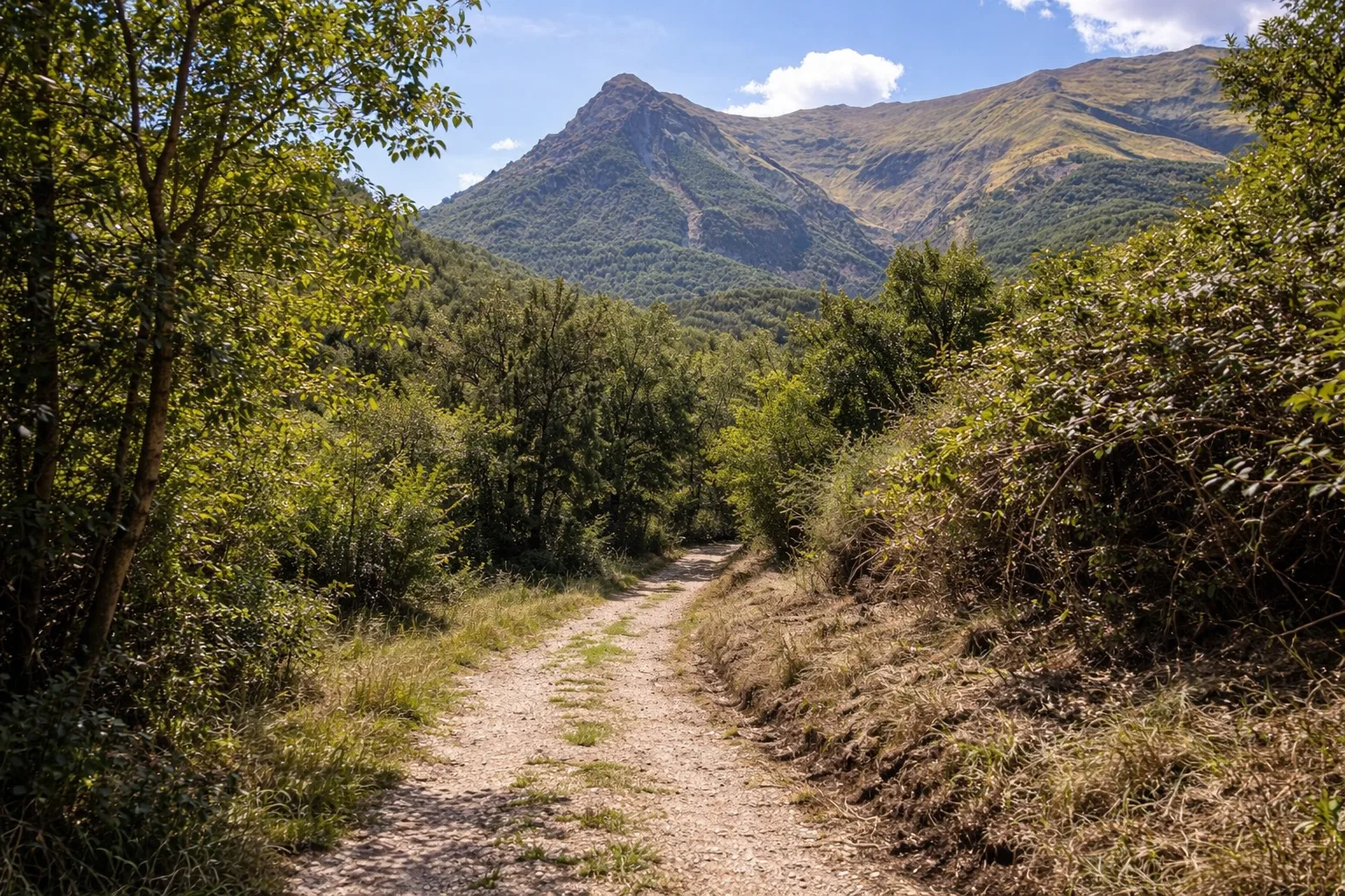 Sentiero Natura N10