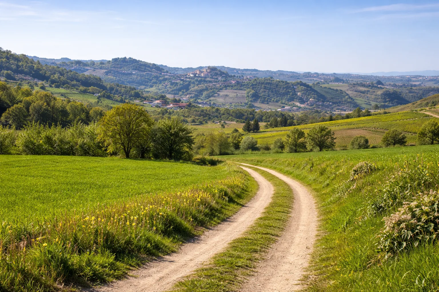 Il Sentiero dell'Acino — foto 1