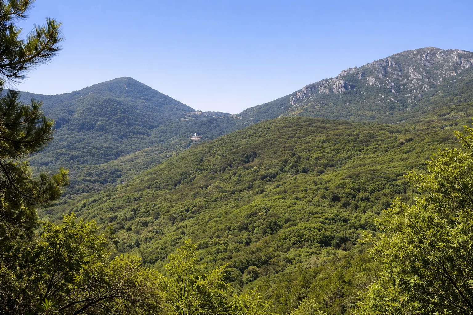 Colle San Bernardo di Garessio - Colle Scravaion — foto 1