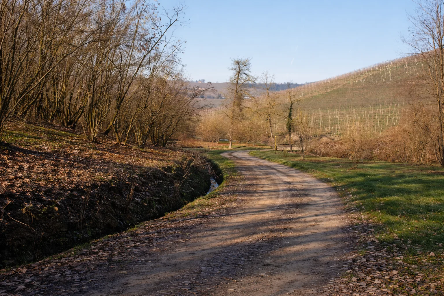 Sentiero delle Grandi Vigne — foto 1
