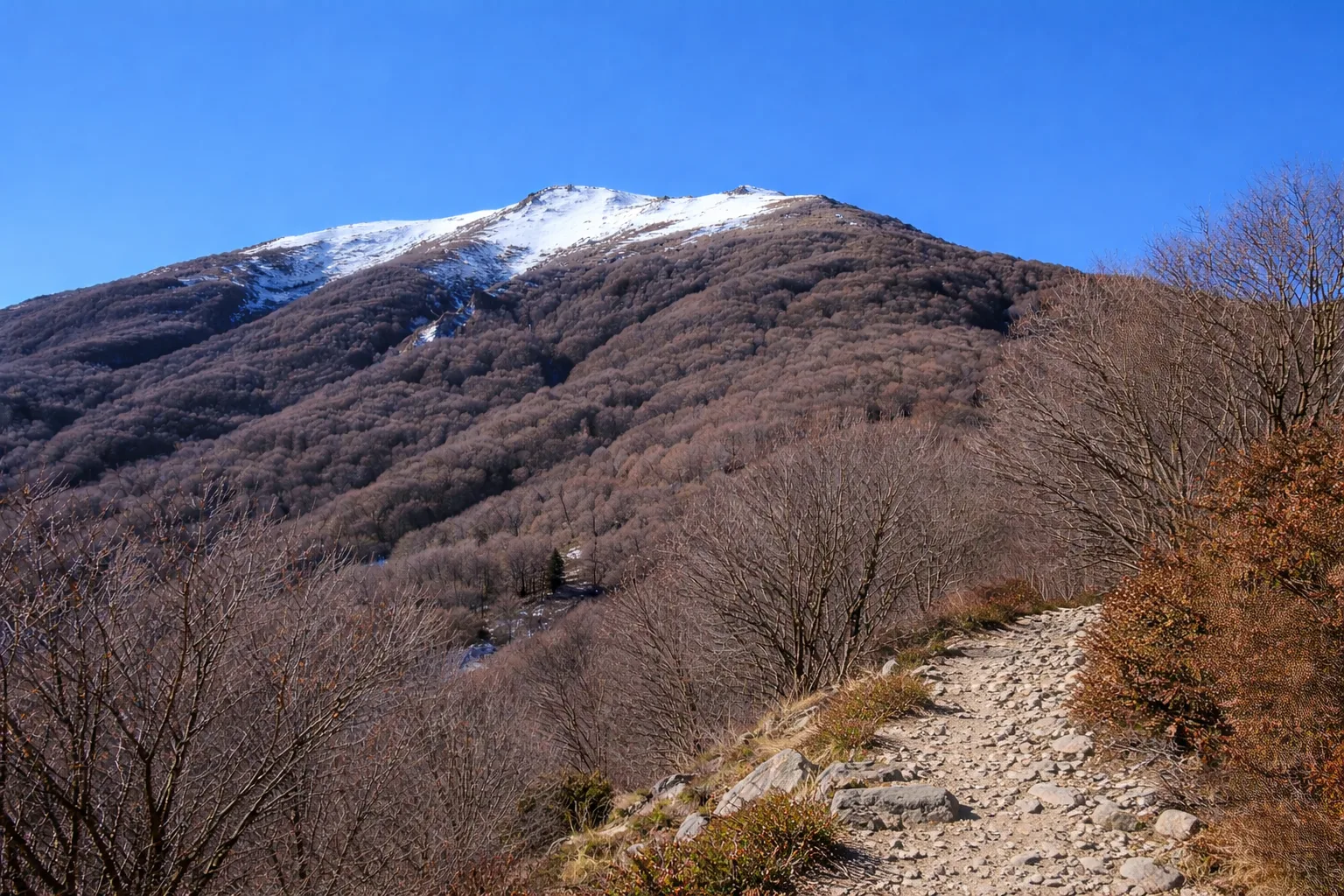 IT08 - Limone - San Maurizio — foto 2