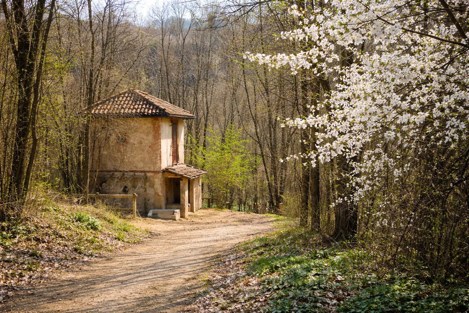 Sentiero dell'Apicoltura — foto 2