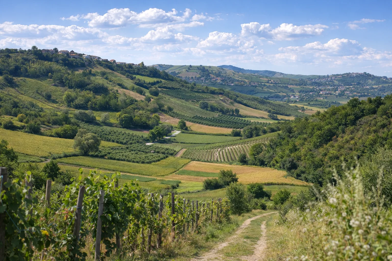 Sentiero del Tartufo — foto 1