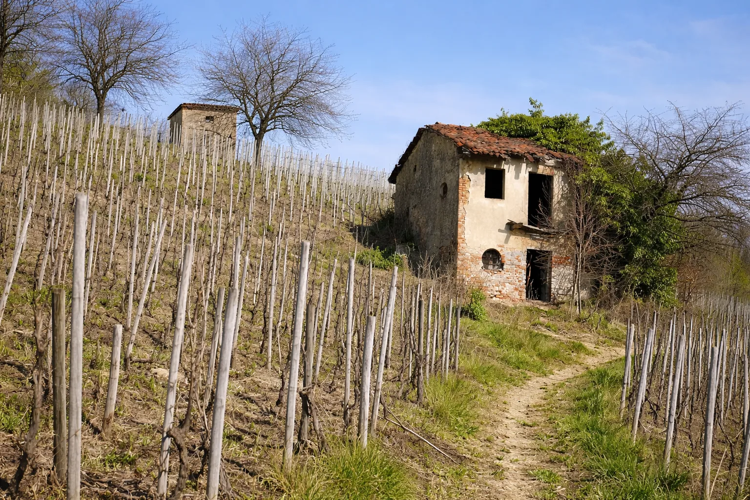 Sentiero del Tartufo — foto 3
