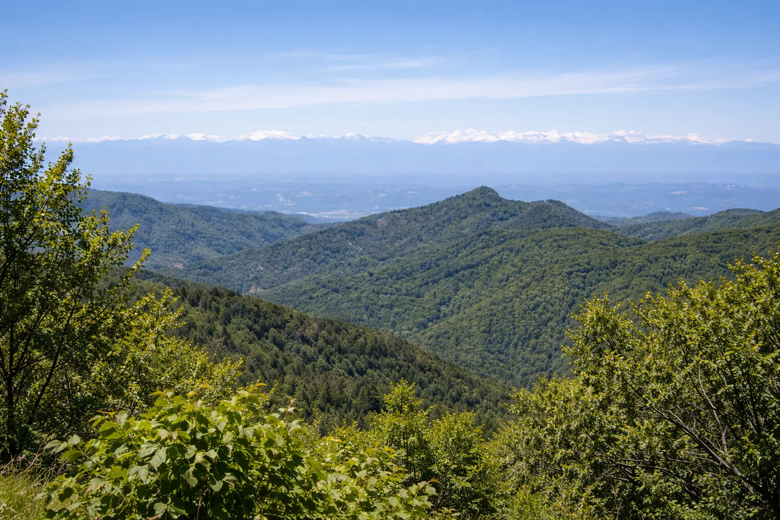 Isola Grande - Monte Camulera — foto 1