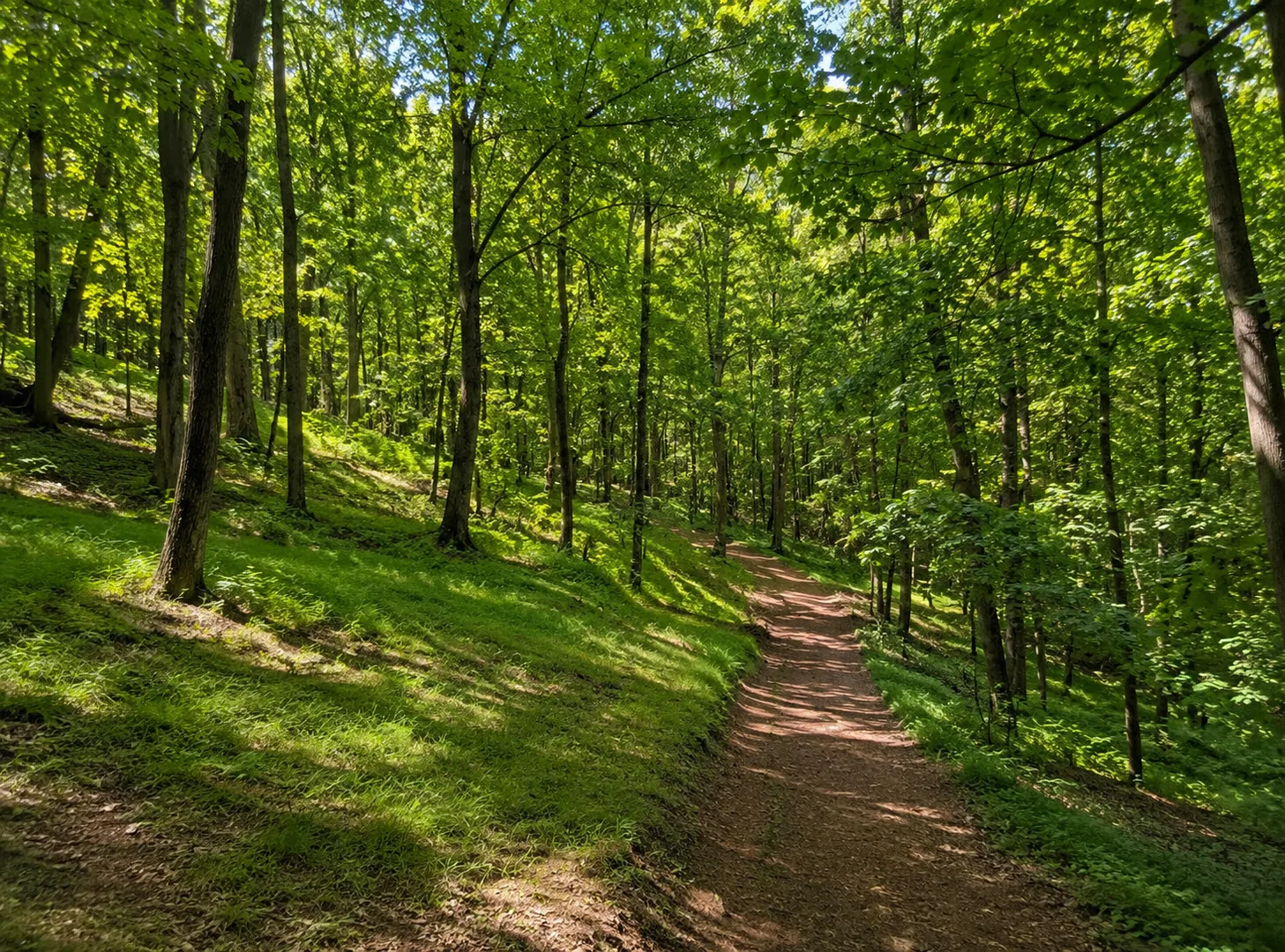 Grande Traversata della Collina Tratto 8 — foto 2