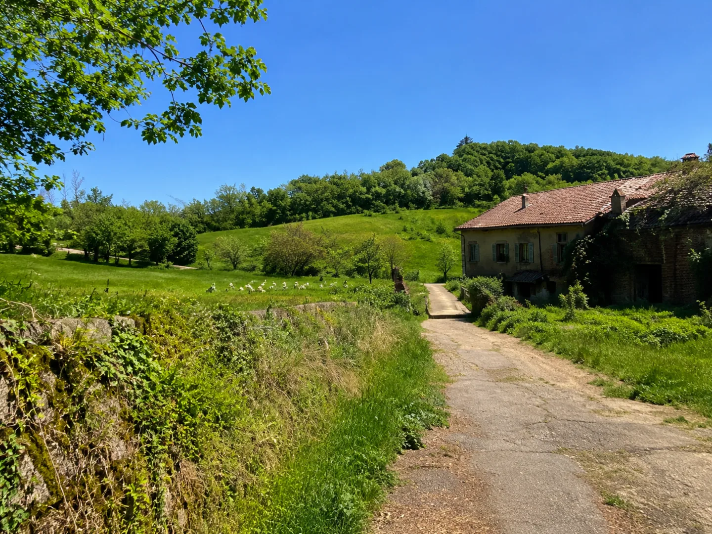 Grande Traversata della Collina Tratto 8 — foto 1
