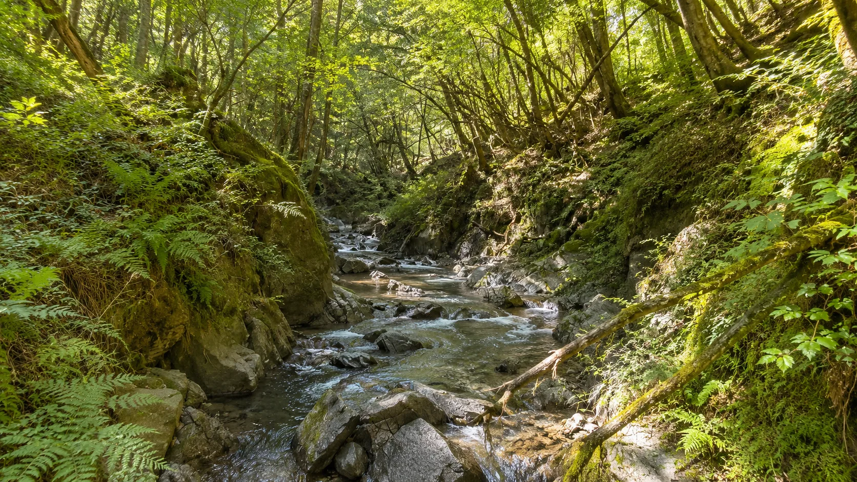 Sentiero Canyon Fandaglia — foto 1