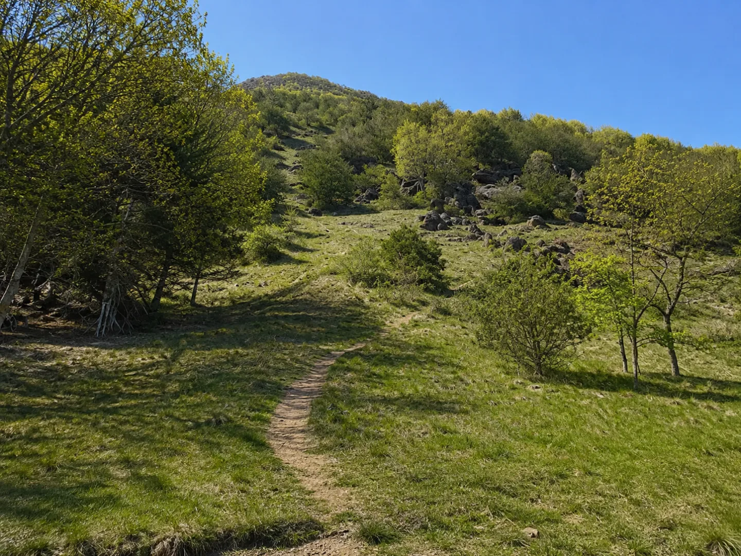 Pista Tagliafuoco — foto 2