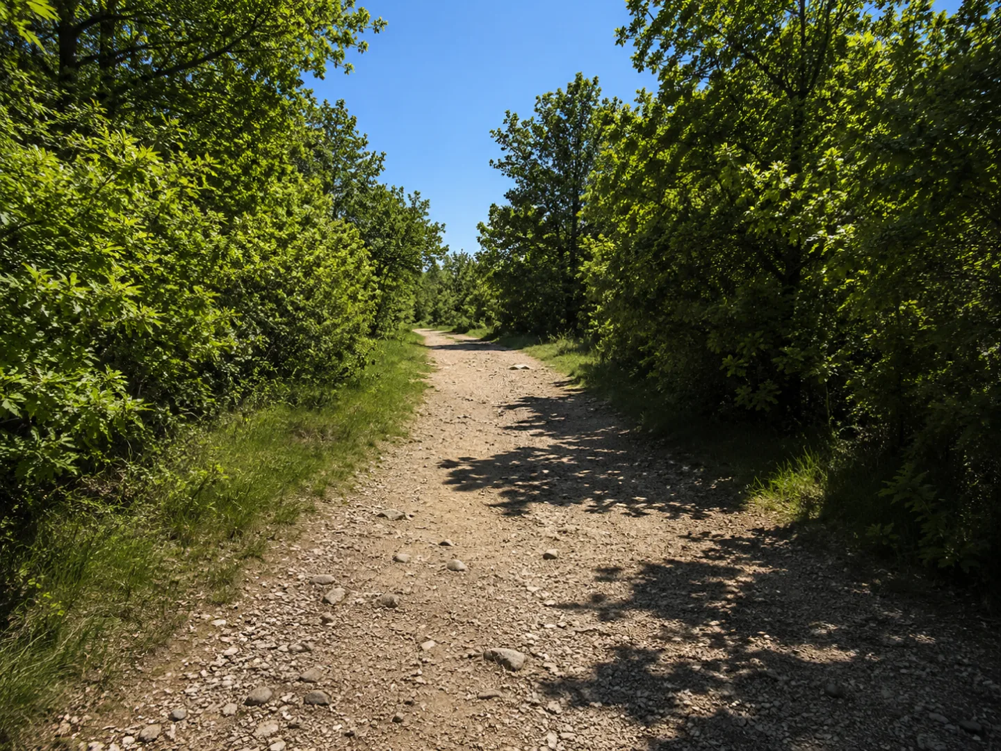 Pista Tagliafuoco — foto 1