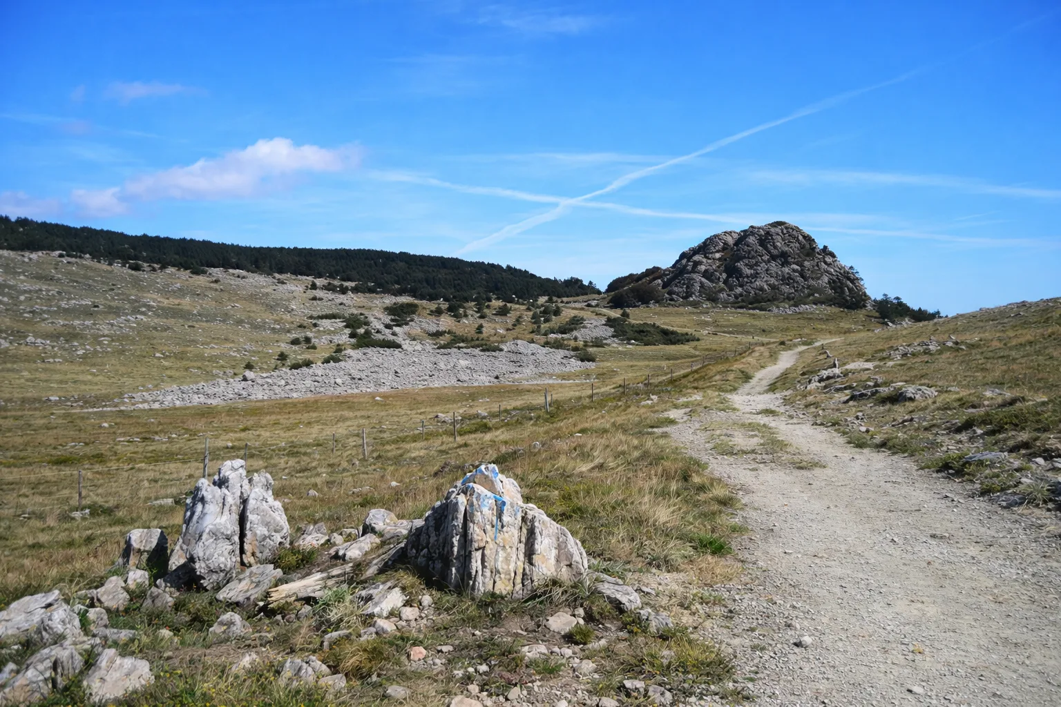 Anello Sentiero Natura Torbiera del Laione — foto 1