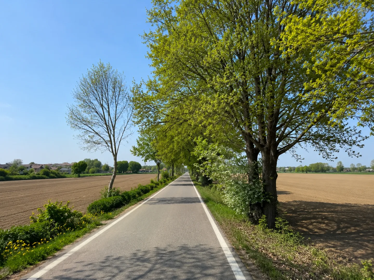 Via delle Risorgive — foto 1