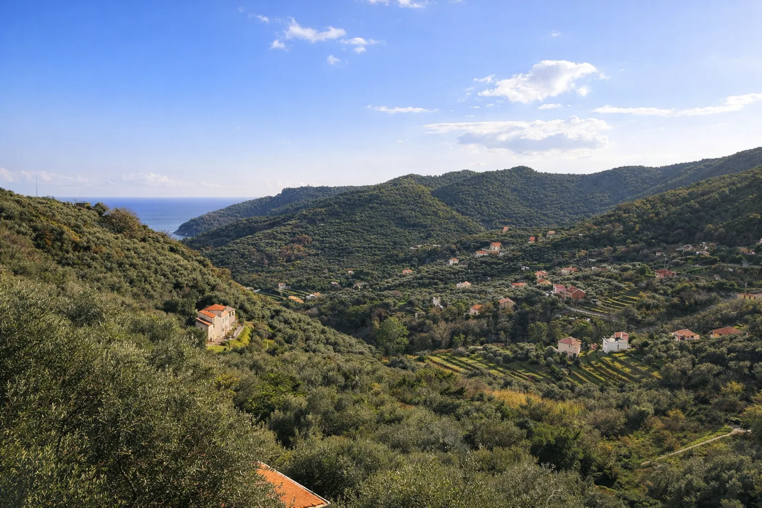 Strada Romana Noli - Voze — foto 1